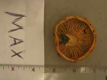 Image of 25Oct08-28.jpg