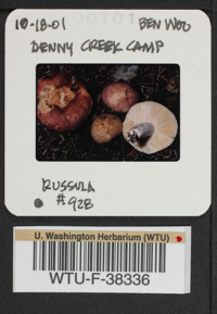 Image of 