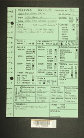 Image of 