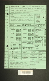 Image of 