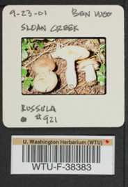 Image of 