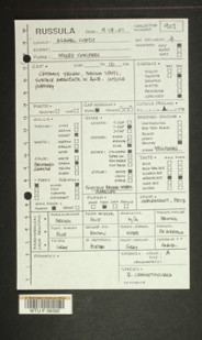 Image of 