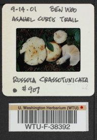 Image of 