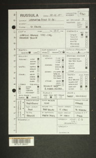 Image of 