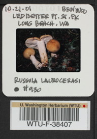 Image of 