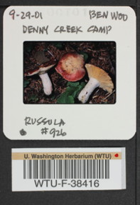 Image of 