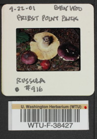 Image of 
