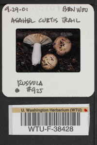 Image of 