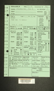 Image of 