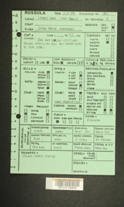 Image of 