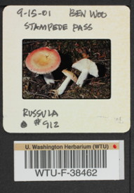 Image of 