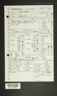 Image of 