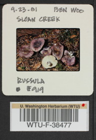 Image of 