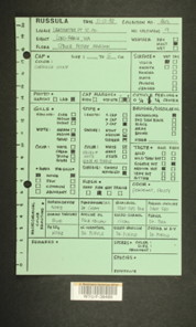 Image of 
