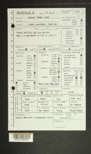 Image of 