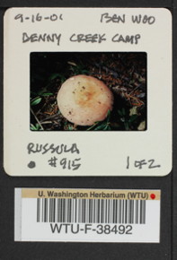 Image of 