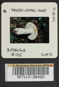 Image of 