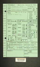 Image of 