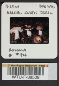 Image of 