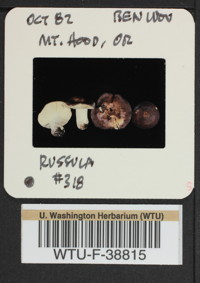 Image of 