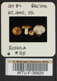 Image of 