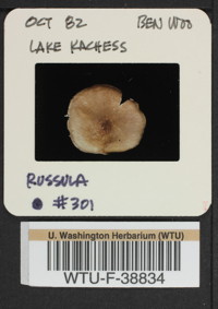 Image of 