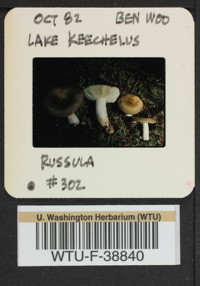 Image of 