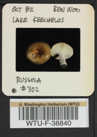 Image of 