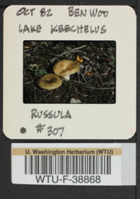 Image of 