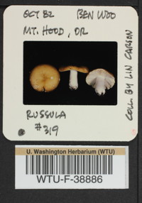 Image of 