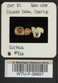 Image of 