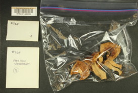 Image of 