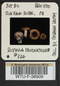 Image of 