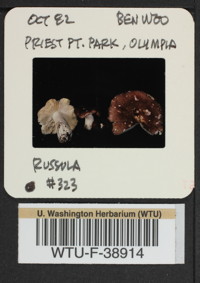 Image of 