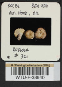 Image of 