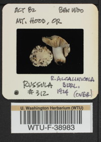 Image of 