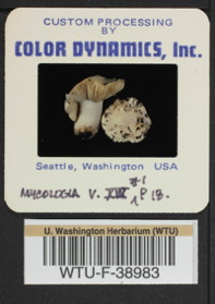 Image of 