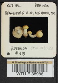 Image of 