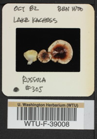 Image of 