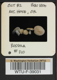 Image of 