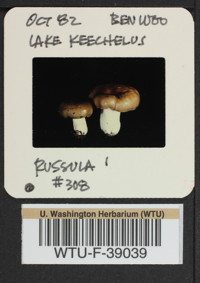 Image of 