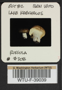 Image of 