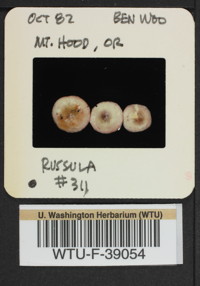 Image of 