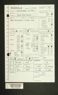 Image of 