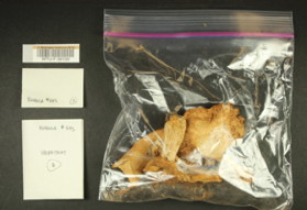Image of 