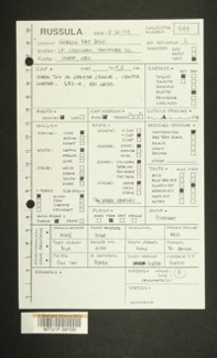 Image of 