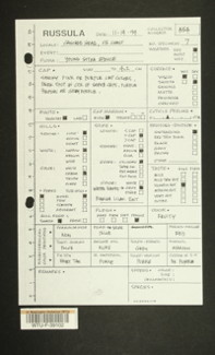 Image of 