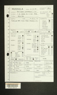 Image of 