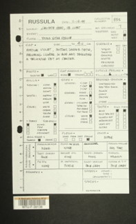 Image of 