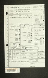 Image of 